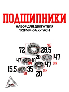 Набор подшипников двигателя 172FMM-5A X-TECH