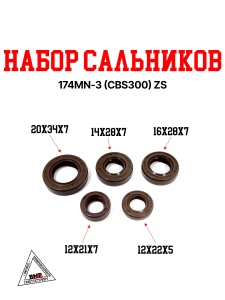Набор сальников 174MN-3 (CBS300) ZS