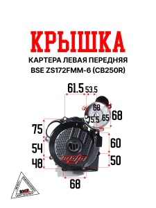 Крышка картера левая передняя BSE ZS172FMM-6(CB250R) (100147372-0003)