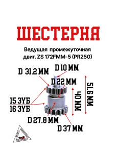 Шестерня промежуточная электростартера двиг. ZS 172FMM-5 (PR250)