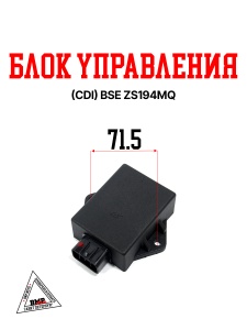 Блок управления (CDI)  BSE ZS194MQ (100204369)
