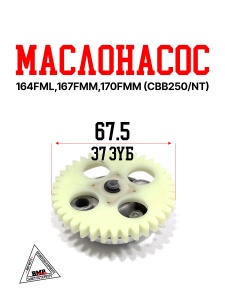 Маслонасос 164FML,167FMM,170FMM (CBB250/NT)