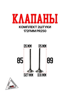 Клапаны 172FMM PR250 BMP-moto