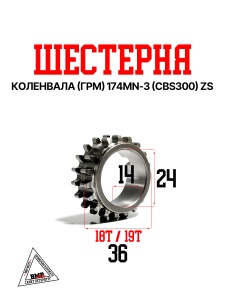 Шестерня коленвала (ГРМ) 174MN-3 (CBS300) ZS