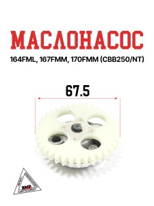 Маслонасос 164FML,167FMM,170FMM (CBB250/NT)
