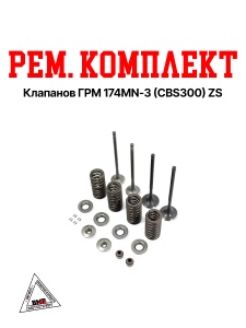 Рем. комплект клапанов ГРМ 174MN-3 (CBS300) ZS