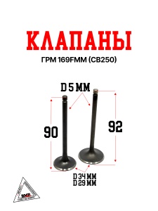 Клапаны ГРМ 169FMM (CB250) (компл=2шт)
