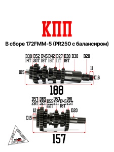 КПП в сборе 172FMM-5 (PR250 с балансиром) (WW0312)