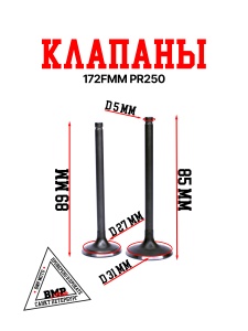 Клапаны 172FMM PR250 BMP-moto