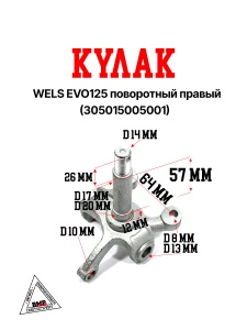 WELS EVO125 Кулак поворотный правый (305015005001)