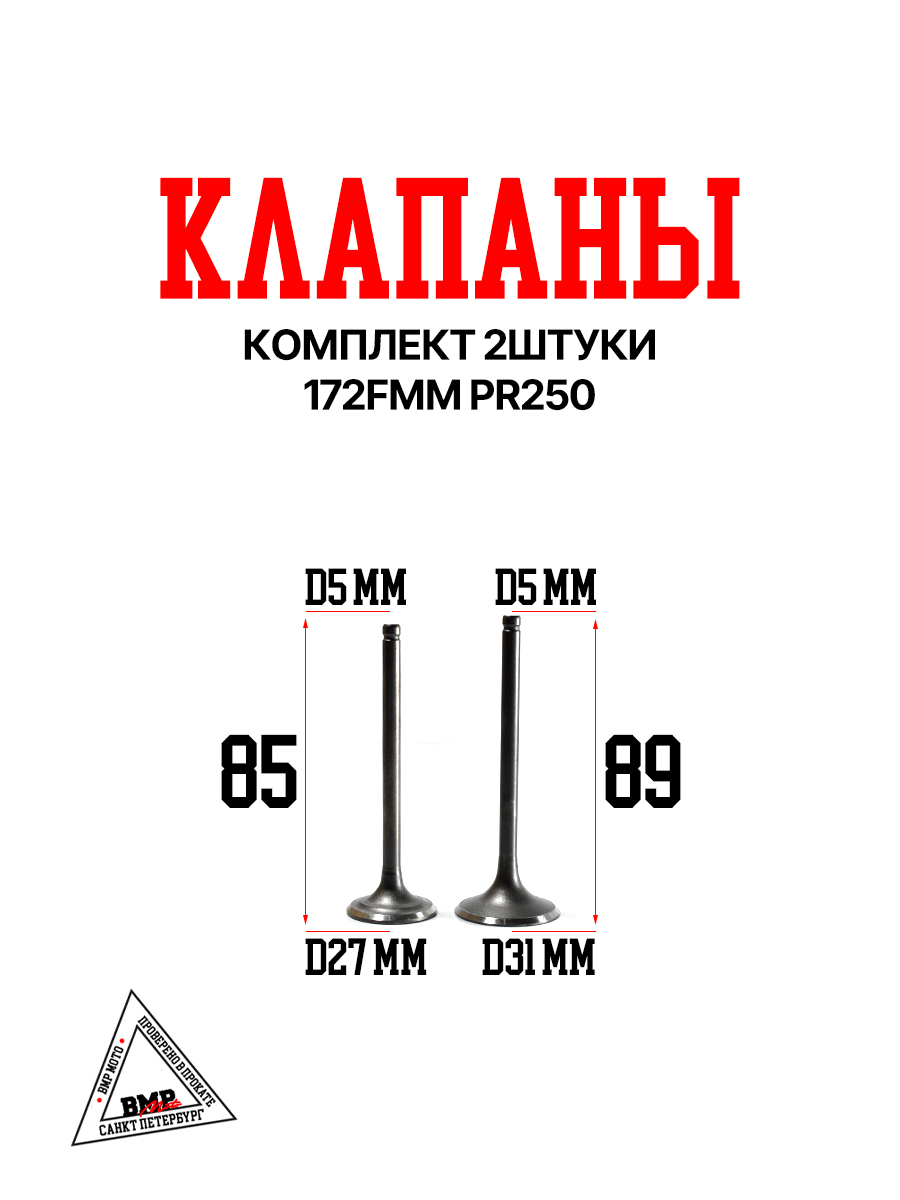 Клапаны 172FMM PR250 BMP-moto