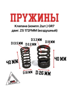Пружины клапана (компл.2шт.) GR7 двиг. ZS 172FMM (воздушный)