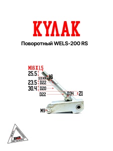 Поворотный кулак WELS-200 RS
