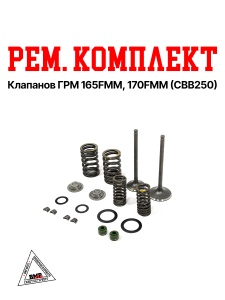 Рем. комплект клапанов ГРМ 165FMM, 170FMM (CBB250)