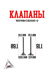 Клапаны 165FMM CB250D-G BMP-moto