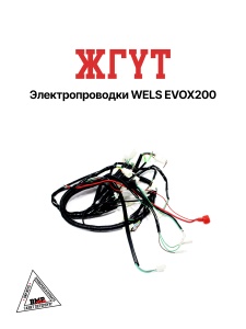 Жгут Электропроводки WELS EVOX200