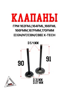 Клапаны ГРМ d=27 L=90; d=31 L=91 162FMJ,164FML,166FML,166FMM,167FMM,170FMM (CGN/NT/CBN/CBB) X-TECH