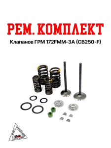 Рем. комплект клапанов ГРМ 172FMM-3A (CB250-F)