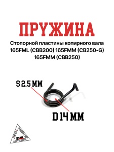 Пружина стопорной пластины копирного вала 165FML (CBB200) 165FMM (CB250D-G) 165FMM (CBB250)
