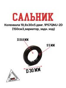 Сальник коленвала 19,8х30х5 двиг. 1P57QMJ-2D (150см3,вариатор, задн. ход)