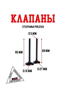 Клапаны 172FMM-5 PR250 X-TECH BMP-moto