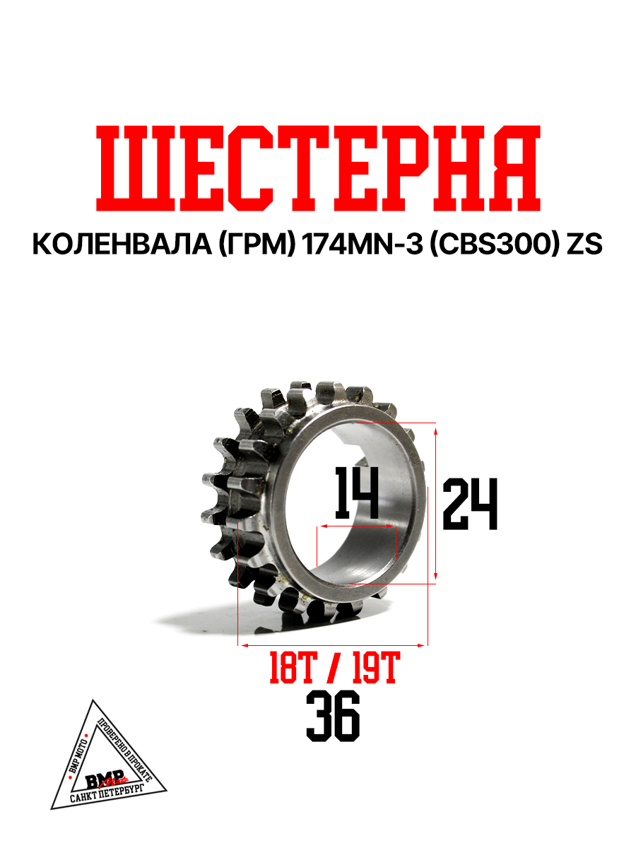 Шестерня коленвала (ГРМ) 174MN-3 (CBS300) ZS