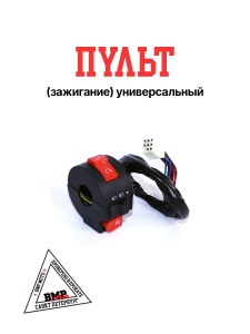 Пульт (зажигание) универсальный #2