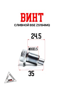 Винт сливной BSE ZS194MQ (100050705-0002)