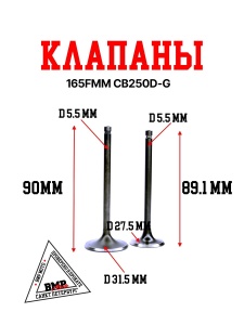 Клапаны 165FMM CB250D-G (0000600) BMP-moto