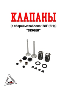 Клапаны (в сборе) мотоблока 178F (6Hp) "DIGGER" (D-2354)