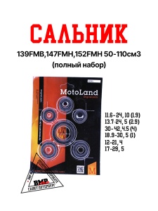Сальник 139FMB,147FMH,152FMH 50-110см3 (полный набор)