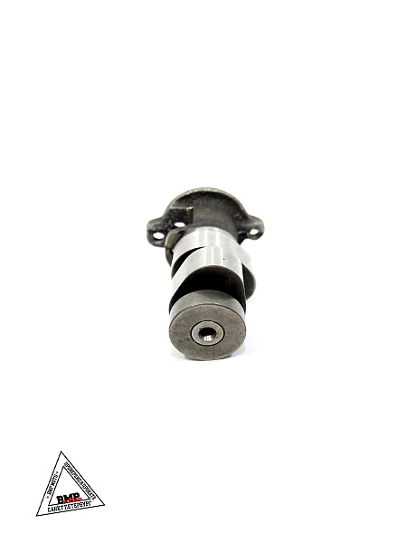 Распредвал двиг. ZS174MN-3 (CBS300)