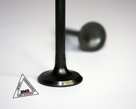 Клапаны (компл 2шт.) 152FMH
110см3