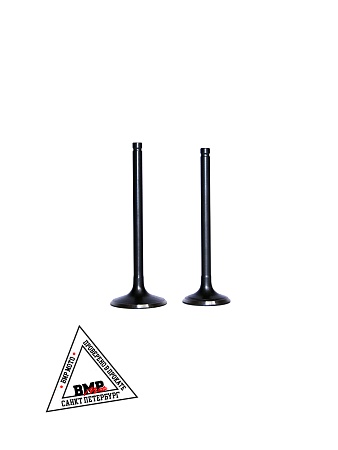 Клапаны 172FMM-5 PR250 X-TECH