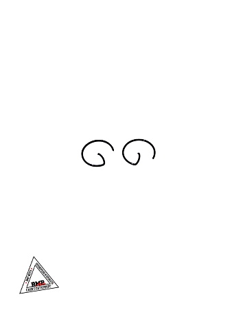 Поршень в сборе 169MM (CB250-A, water, 2V) ZS