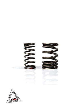 Пружины клапанов ГРМ 162FMJ,164FML,166FMM,167FMM (CGN/NT) (компл 4шт)