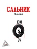 Сальник 13,8х24х5