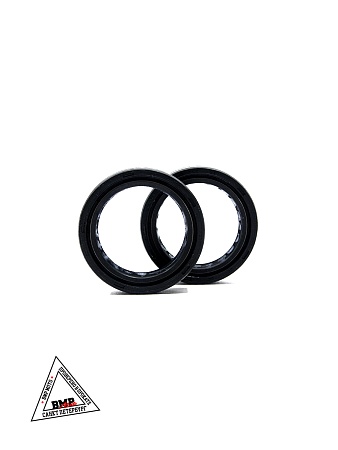 Сальники передних амортизаторов, набор (2 шт) (для RT 17\14) WELS RT