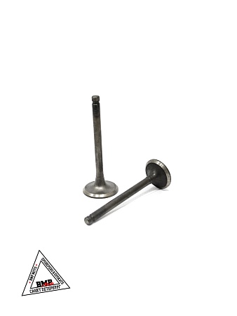 Клапана ГРМ GY6-125cc, 152QMI (d-21/24мм, L-64/65мм, d-5,00мм) (00003842)