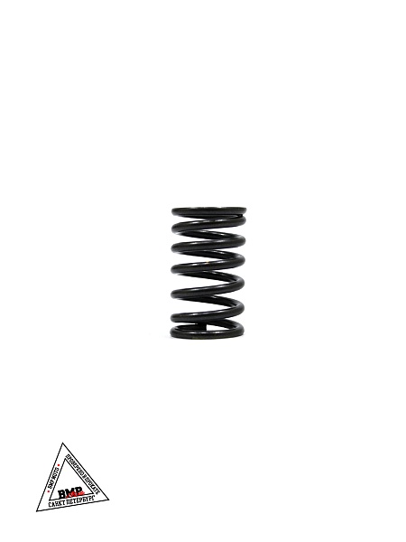 Пружина клапана внешняя двиг. 1P63QML (180cc)