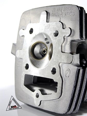 Головка блока цилиндра, ГБЦ BSE ZS161FMJ (100104427-0004)