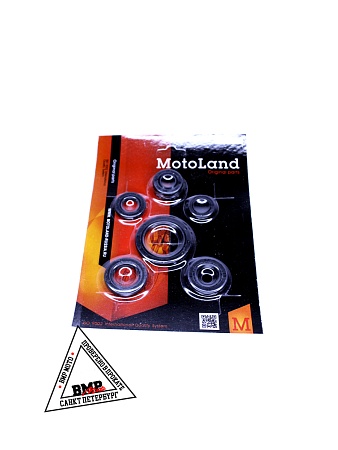 Сальник 139FMB,147FMH,152FMH 50-110см3 (полный набор)