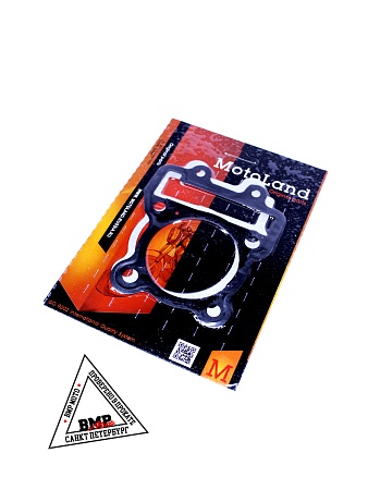 Набор прокладок ЦПГ W190 190см3 ZS