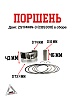 Поршень двиг. ZS174MN-3 (CBS300) в сборе