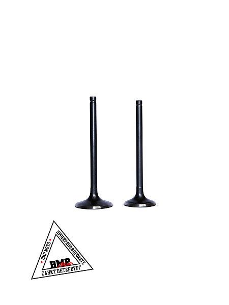 Клапаны 172FMM-5 PR250 X-TECH