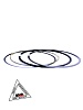 Поршень в сборе d=70mm 170MM-2 (CB250) water, 4V ZS
