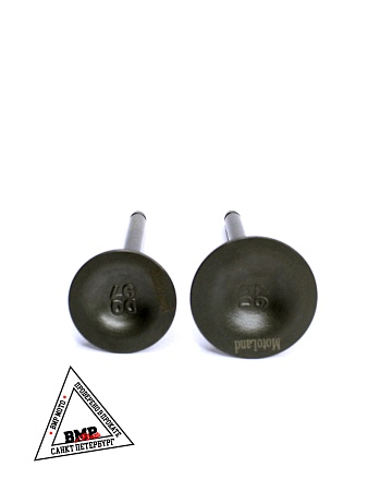 Клапаны 172FMM PR250 BMP-moto