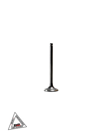 Клапаны 172FMM PR250 BMP-moto