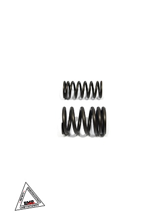 Пружины клапана (компл.2шт.) GR7 двиг. ZS 172FMM (воздушный)