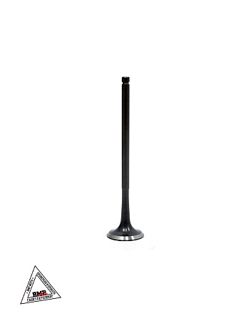 Клапаны ГРМ 174MN-3 (CBS300) X-TECH